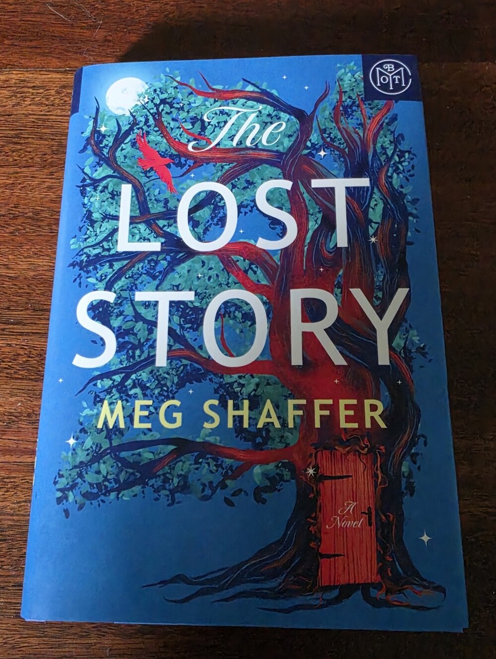 The Lost Story by Meg Shaffer Hardcover Book of the Month Edition